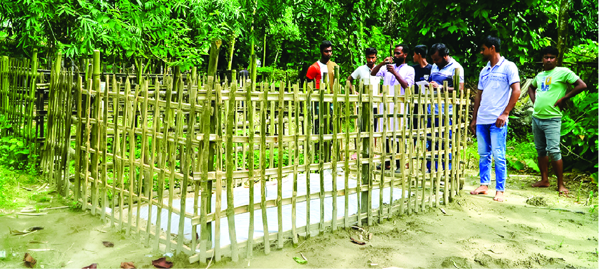 Image of মো: নুরুজ্জামান